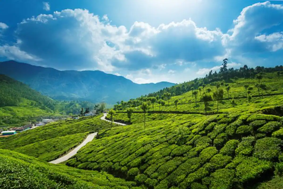Munnar Photo